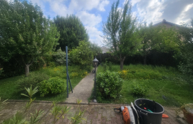 Élagueur à Thionville