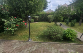 Élagueur à Thionville