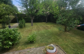 Élagueur à Thionville