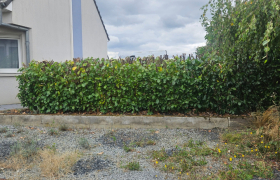 Élagueur - Jardinier - Paysagiste à Thionville (57100)