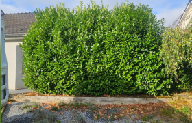 Élagueur - Jardinier - Paysagiste à Thionville (57100)